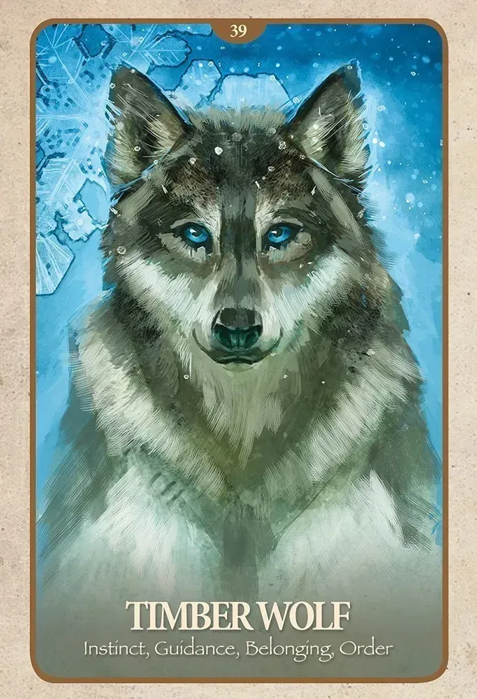 The Secret Language of Animals Oracle Cards